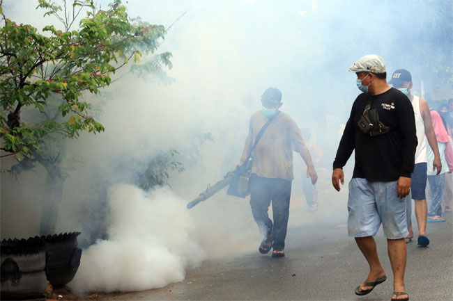 Tanggap Darurat DBD di Batam: 2 Korban Jiwa Terpapar Demam Berdarah Dengue