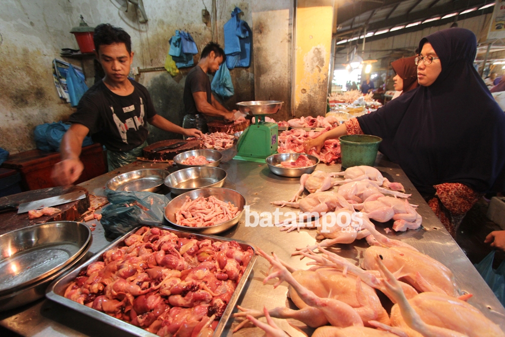 Daging Ayam 1 F Cecep Mulyana