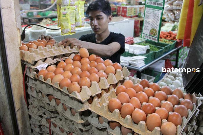 Telur Pasar Botania I Batamcentre ff Iman Wachyudi