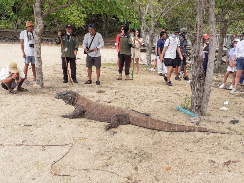 Pulau Komodo scaled e1674548872176