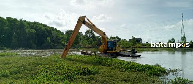 bp batam eceng gondok