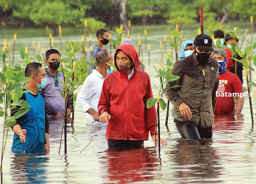 jokowi bakau