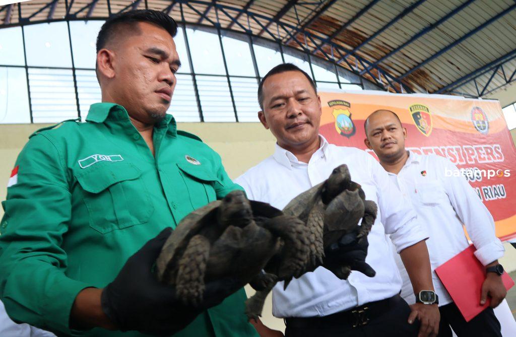 Peneyelundupan Kura kura 1 F Cecep Mulyana